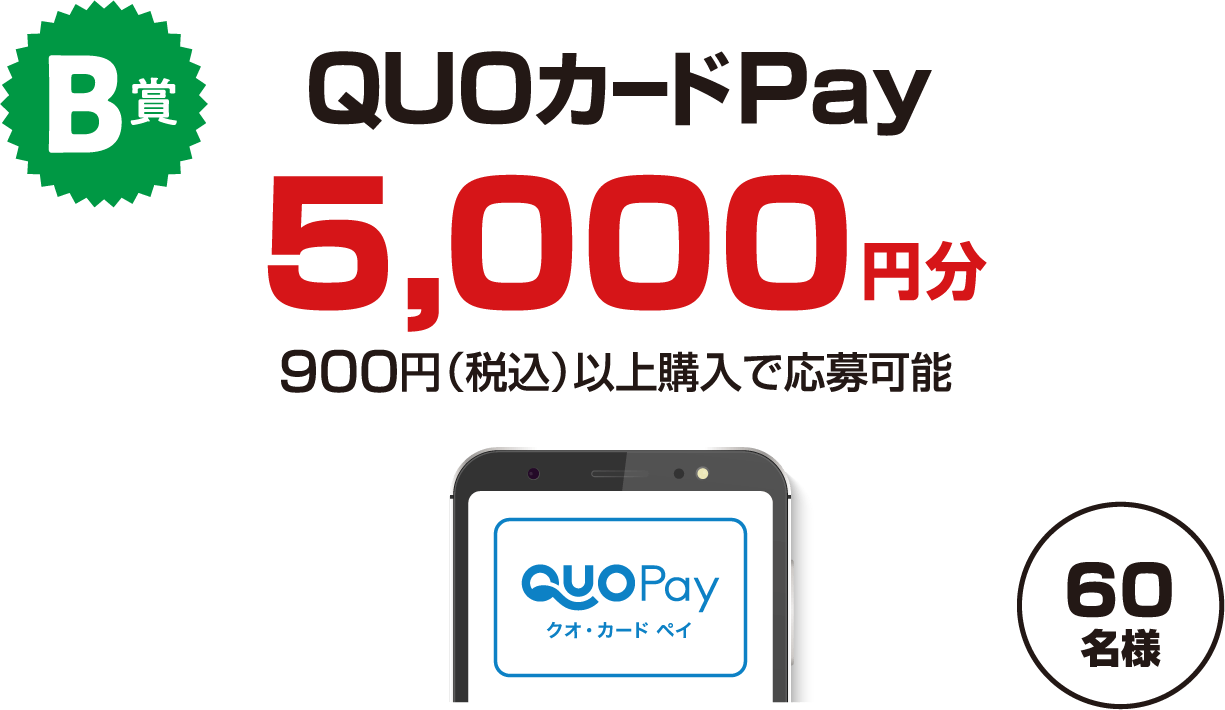 B賞　QUOカードPay5,000円分　900円（税込）以上購入で応募可能　60名様